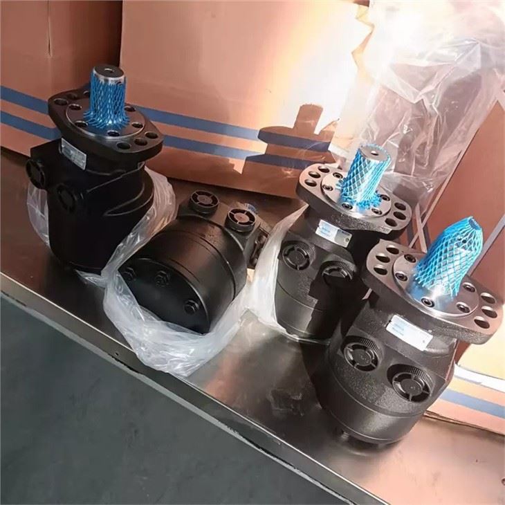 BMER Serisi BMER-125 540 650 750 BMER-2-375-FSG2RB Hidrolik motor
